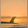 Klitmoller Collective Posters 40x50-Sunset fin 40x50 - Poster