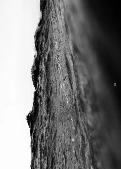 Klitmoller Collective Posters-Surface BW 50x70 - Poster