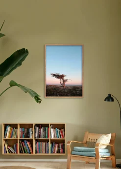 Klitmoller Collective Posters 40x50-Tree 40x50 - Poster