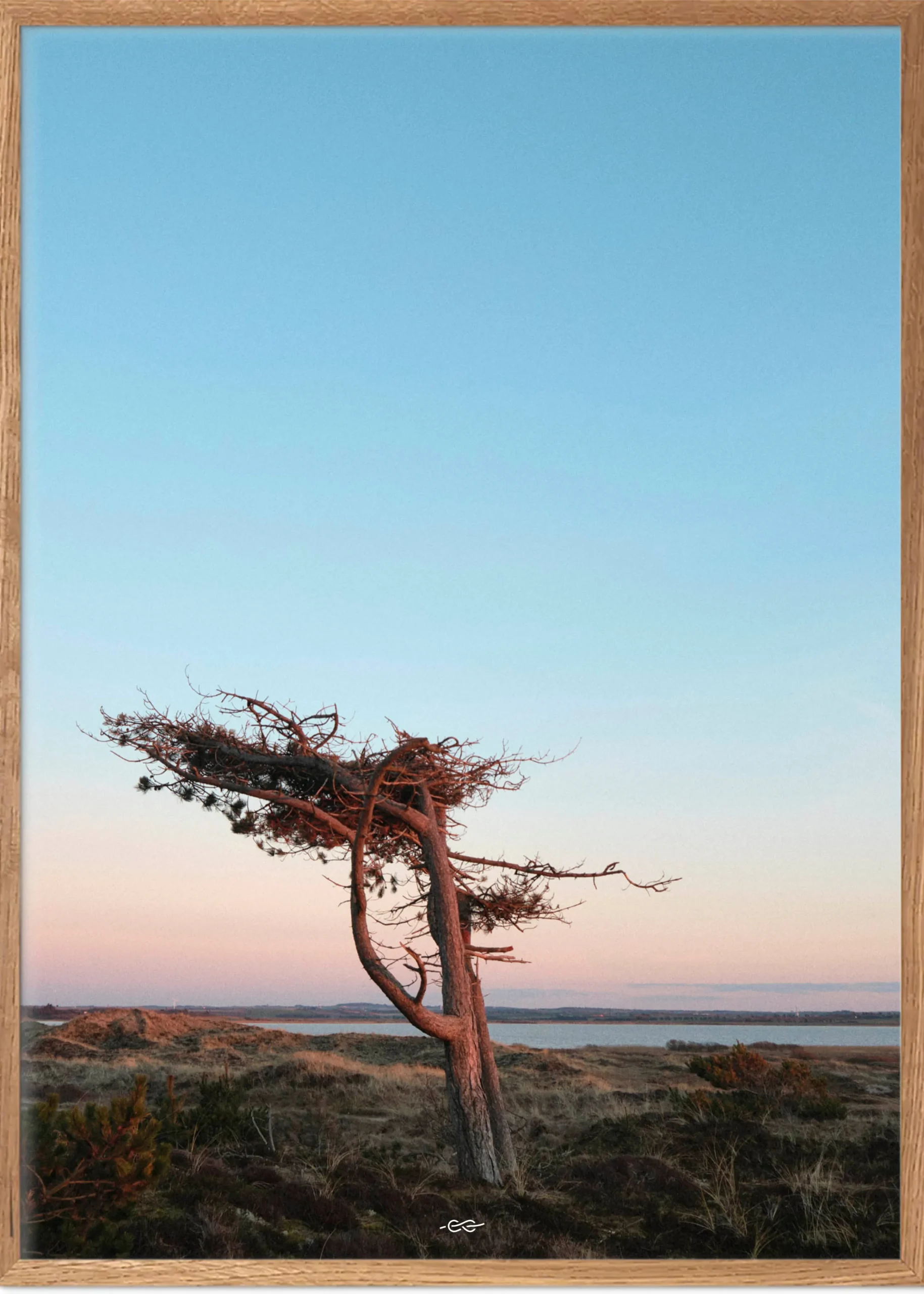 Klitmoller Collective Posters-Tree 50x70 - Poster